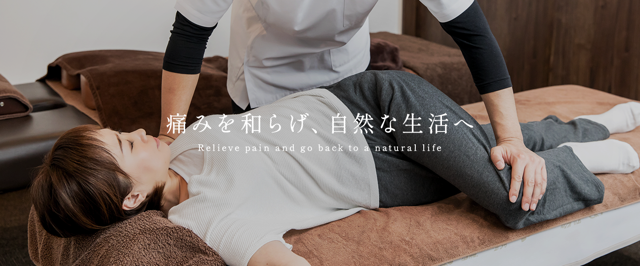 カイロプラクティックスモックサイト